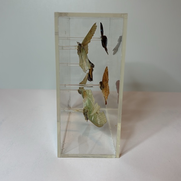 Vintage 1976 Signed Lucite Box Art / Real Butterflies / MCM Wall Decor - Picture 4 of 7